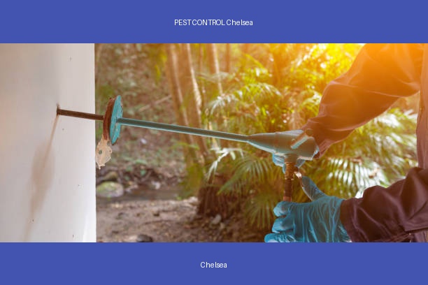 PEST CONTROL Chelsea